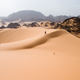 Ilustración para el artículo titulado El árbol más aislado del planeta estaba en el desierto del Sahara, y murió de la forma más absurda que te puedas imaginar